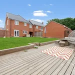 Rent 4 bedroom apartment in Colchester