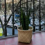 Alquilar 2 dormitorio apartamento en Barcelona