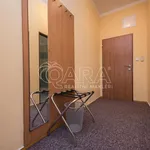 Rent 1 bedroom apartment in Prague