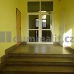 Rent 1 bedroom apartment in Praha 6