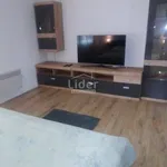 Rent 3 bedroom apartment of 85 m² in Frlanija