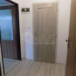 Rent 1 bedroom apartment of 25 m² in Trhový Štěpánov