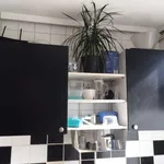 Rent a room in rotterdam