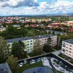 Pronajměte si 2 ložnic/e byt o rozloze 39 m² v Louny