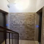 Rent 2 bedroom apartment of 80 m² in Taranto