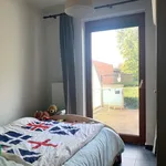 Huur 1 slaapkamer appartement in Geel