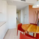 Alquilo 4 dormitorio apartamento de 80 m² en Alicante