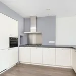 Rent 3 bedroom apartment of 127 m² in Haarlem