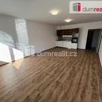 Pronájem bytu 1+kk 52m²