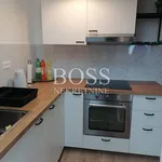 Rent 3 bedroom apartment of 42 m² in Grad Rijeka