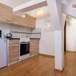 Pronajměte si 1 ložnic/e byt o rozloze 25 m² v Prague