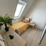 De Eendracht, Amstelveen - Amsterdam Apartments for Rent