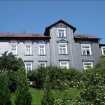 Rent 2 bedroom apartment of 55 m² in Ilmenau