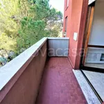 Appartamento in affitto a Vimodrone via Salvatore Quasimodo, 1, arredato, cantina, balcone - TrovaCasa