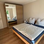 Miete 1 Schlafzimmer wohnung von 55 m² in Dresden