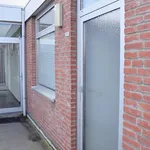 Huur 2 slaapkamer appartement van 51 m² in Brusselsepoort