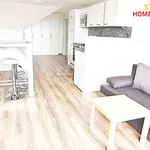 Rent 1 bedroom apartment in Brno