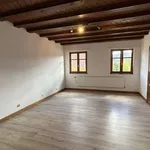 Rent 4 bedroom apartment of 250 m² in Schirmeck