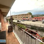 Rent 3 bedroom apartment of 80 m² in Genoa