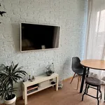 Rent 2 bedroom apartment of 52 m² in Prague