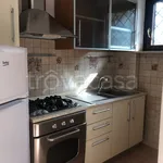 Affitto 2 camera appartamento di 50 m² in Cerveteri