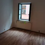 Pronajměte si 2 ložnic/e byt o rozloze 52 m² v České Budějovice