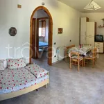 Rent 3 bedroom apartment of 65 m² in Sabaudia