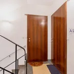 Alugar 2 quarto apartamento em Porto