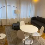 Rent 1 bedroom apartment in brussels