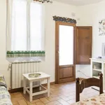 Rent 2 bedroom apartment in Florence