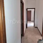 Rent 4 bedroom apartment of 150 m² in Piacenza