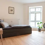 Rent 1 bedroom apartment of 60 m² in Chemnitz