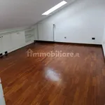 Rent 5 bedroom apartment of 300 m² in Monza