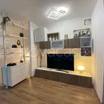 Rent 3 bedroom apartment of 100 m² in Pisa