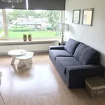 Rent 2 bedroom apartment of 55 m² in Rotterdam