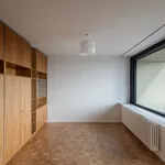 Pronajměte si 4 ložnic/e byt o rozloze 234 m² v Prague