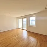 Rent 3 bedroom apartment of 63 m² in Wiener Neustadt