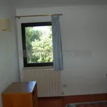 Rent 3 bedroom apartment of 65 m² in Perugia