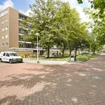 Rent 3 bedroom apartment of 59 m² in Amsterdam