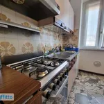 Rent 3 bedroom apartment of 75 m² in Milan