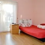 Rent 1 bedroom flat in London