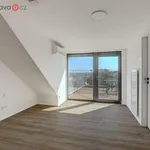 Rent 3 bedroom apartment of 118 m² in Brno