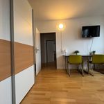 Rent 2 bedroom apartment of 50 m² in Karlsruhe