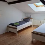 Miete 2 Schlafzimmer wohnung von 45 m² in Halle (Saale)