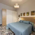 Rent 1 bedroom apartment in florence