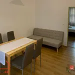 Rent 1 bedroom apartment in Hradec Králové