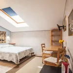 Rent a room of 140 m² in rome