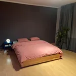 Rent 3 bedroom house in Dendermonde