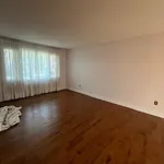 Rent 1 bedroom house in Kingston