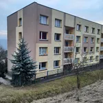 Rent 1 bedroom apartment in Ústí nad Labem